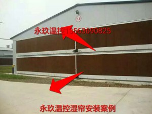 好色先生破解版安裝現場