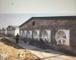 好色先生AVAPP安裝現場