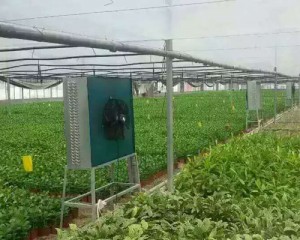 好色先生AVAPP安裝現場