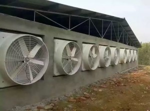 好色先生AVAPP安裝現場